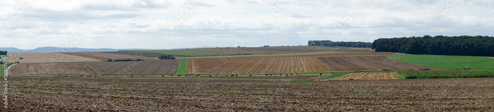 Farm fields in Luxembourg
