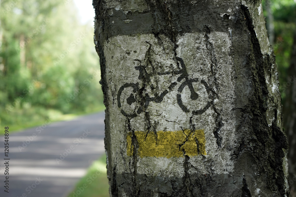 Fototapeta premium Road sign for bicyclist
