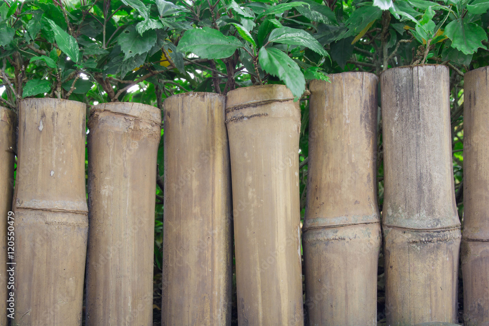bamboo wooden fence with green leaf in garden background bamboo wooden fence with green leaf in garden background