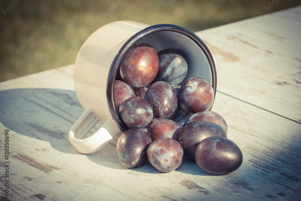 Obraz premium Vintage photo, Plums spill out of metallic mug on wooden table in garden on sunny day