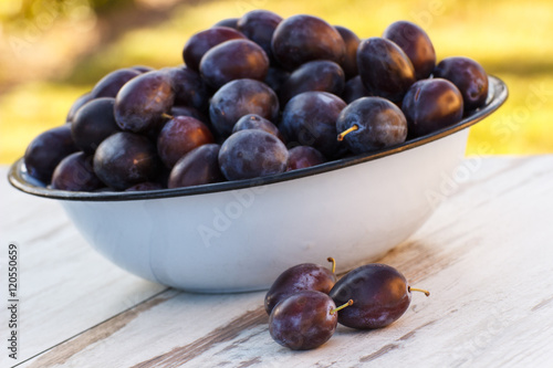 Heap of plums in metal bowl on wooden table in garden on sunny day