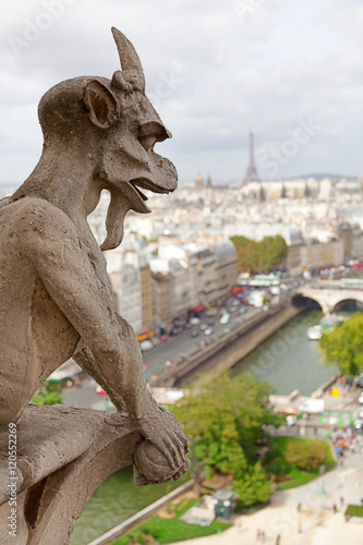 Gargoyle of Notre Dame in Paris. River and Eiffel tower on backg