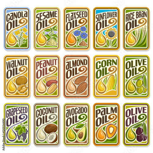 Vector logo Sunflower and Olive Oil  collection set labels sign Cooking and Frying palm and corn oil  sticker yellow oily drop  icon grain  nuts  fruits. Banners  posters with cooking and frying oils.