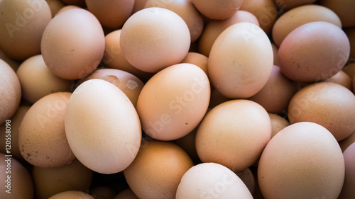 Group of eggs texture background