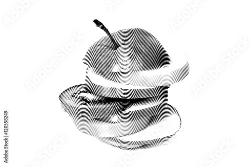 Sketch painting apple on a white background. Apple of pieces. Black and white