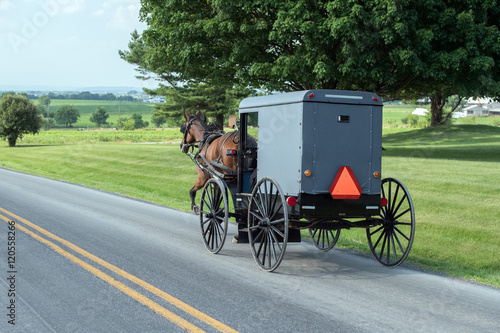 Fotografia wagon buggy in lancaster pennsylvania amish country
