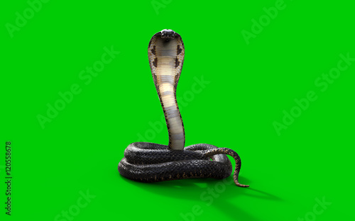 Serpente 3D Modelos para Baizar