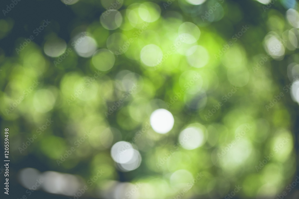 Obraz premium Beautiful green bokeh background