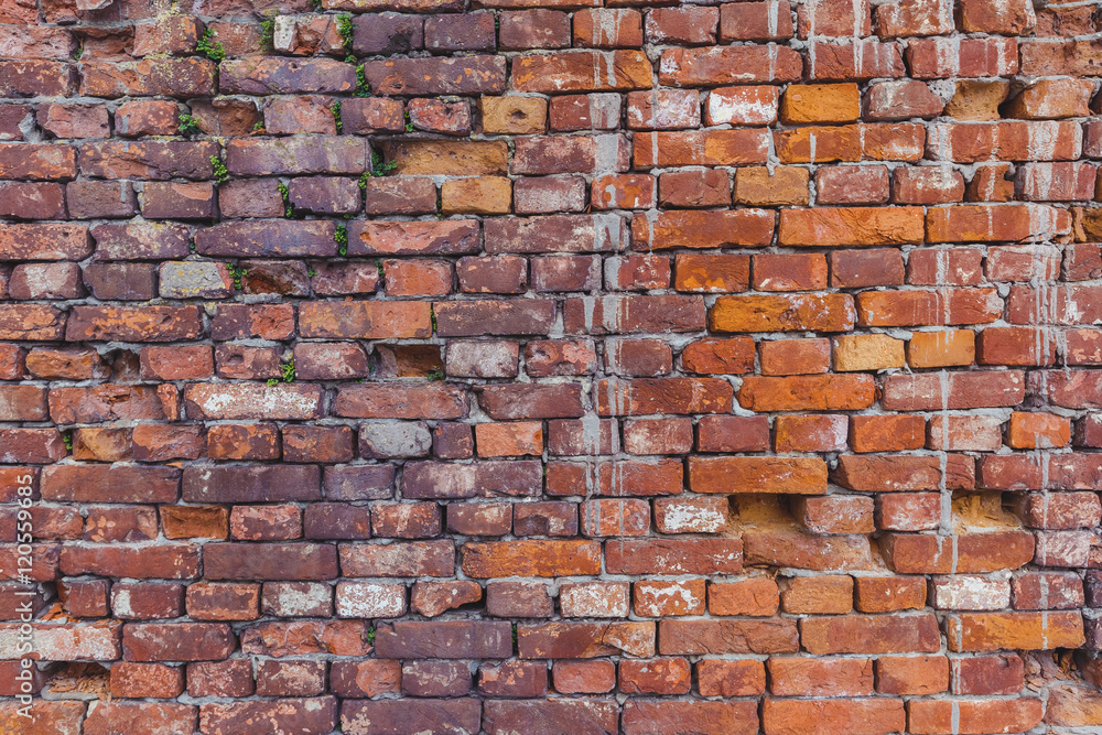 Naklejka premium Red brick wall background