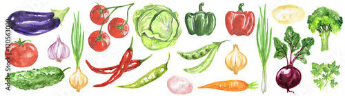 Watercolor vegetables set. Fresh and healthy vegetables on white background. Great source of vitamin. Eggplant, tomato, chili and more. © artinspiring