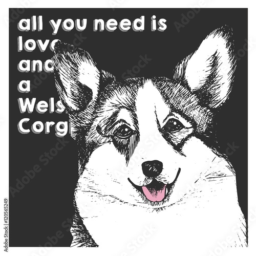 Vector close up portrait of welsh corgi, isolated on black square background. All you need is love and a dog.