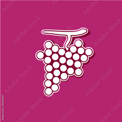 raisin,vecteur