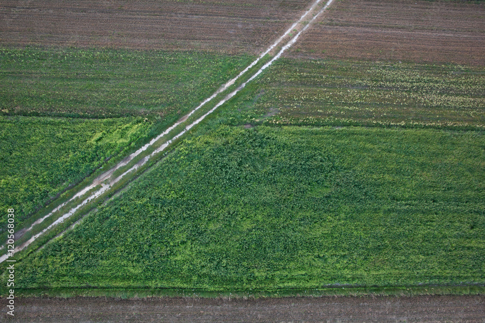Obraz premium aerial of fields in summer colors