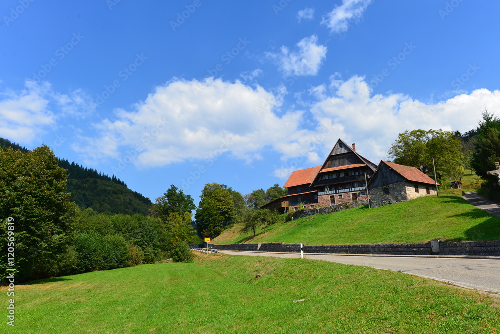Schwarzwaldhochstraße im Nordschwarzwald