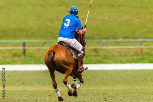 Polo Players Ponies equestrian game action