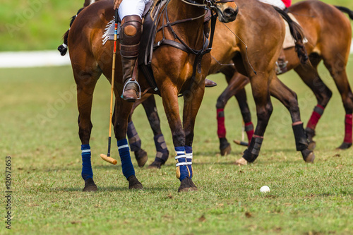 Polo Players Horse equestrian closeup abstract game action © ChrisVanLennepPhoto