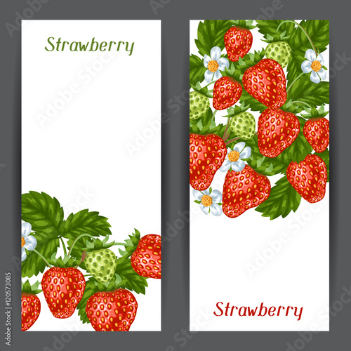 Banners with red strawberries. Illustration of berries and leaves