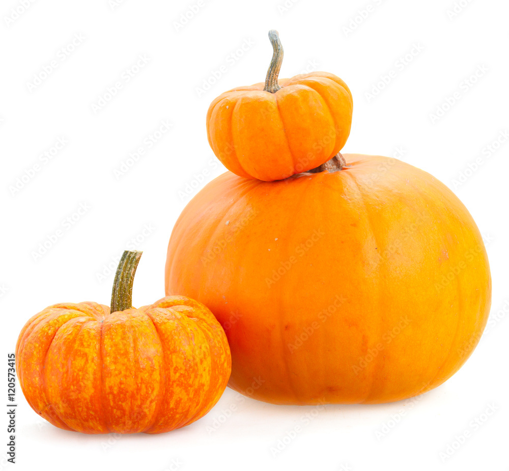 Obraz premium Three orange pumpkins isolated on white background