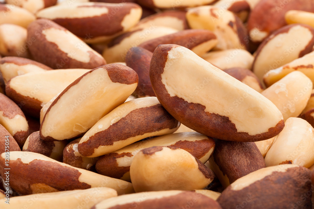 brazil nuts brazil nuts