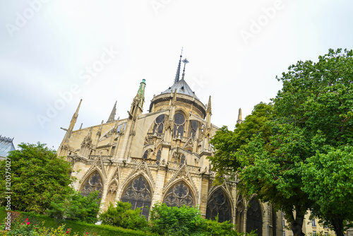 The Cathedral of Notre Dame, Paris, France