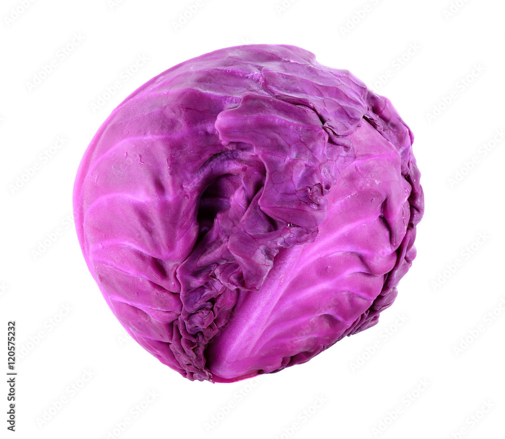Obraz premium Purple cabbage on white background