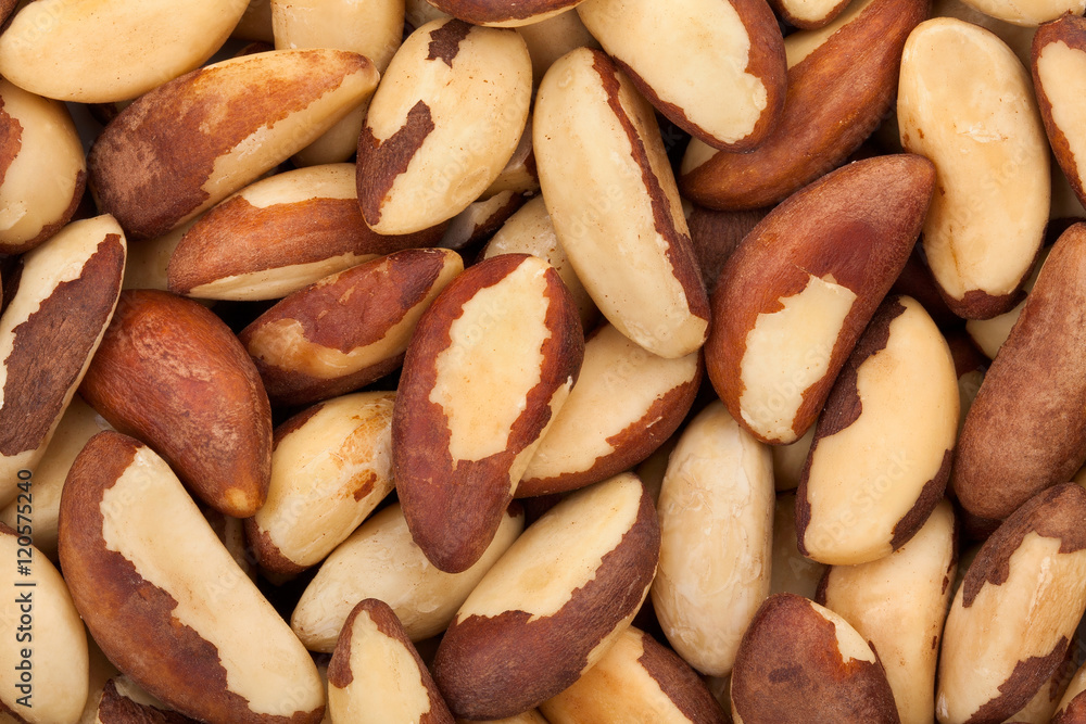 brazil nuts brazil nuts