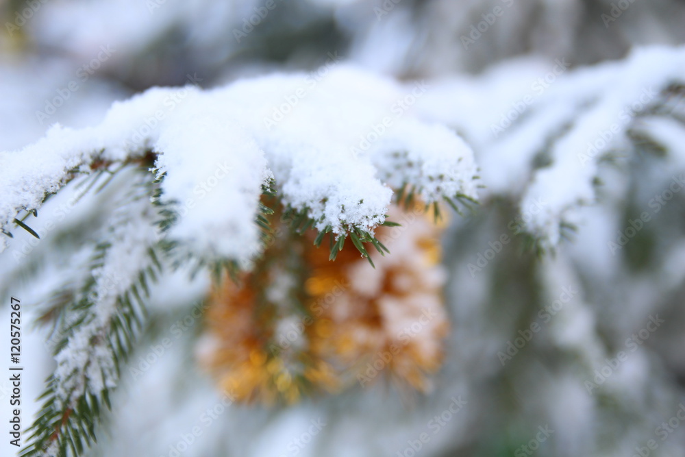Christmas card. Christmas background with snowy fir trees. Fallen snow. Decorated Christmas tree. Intervening cold winter. Christmas card. Christmas background with snowy fir trees. Fallen snow. Decorated Christmas tree. Intervening cold winter.