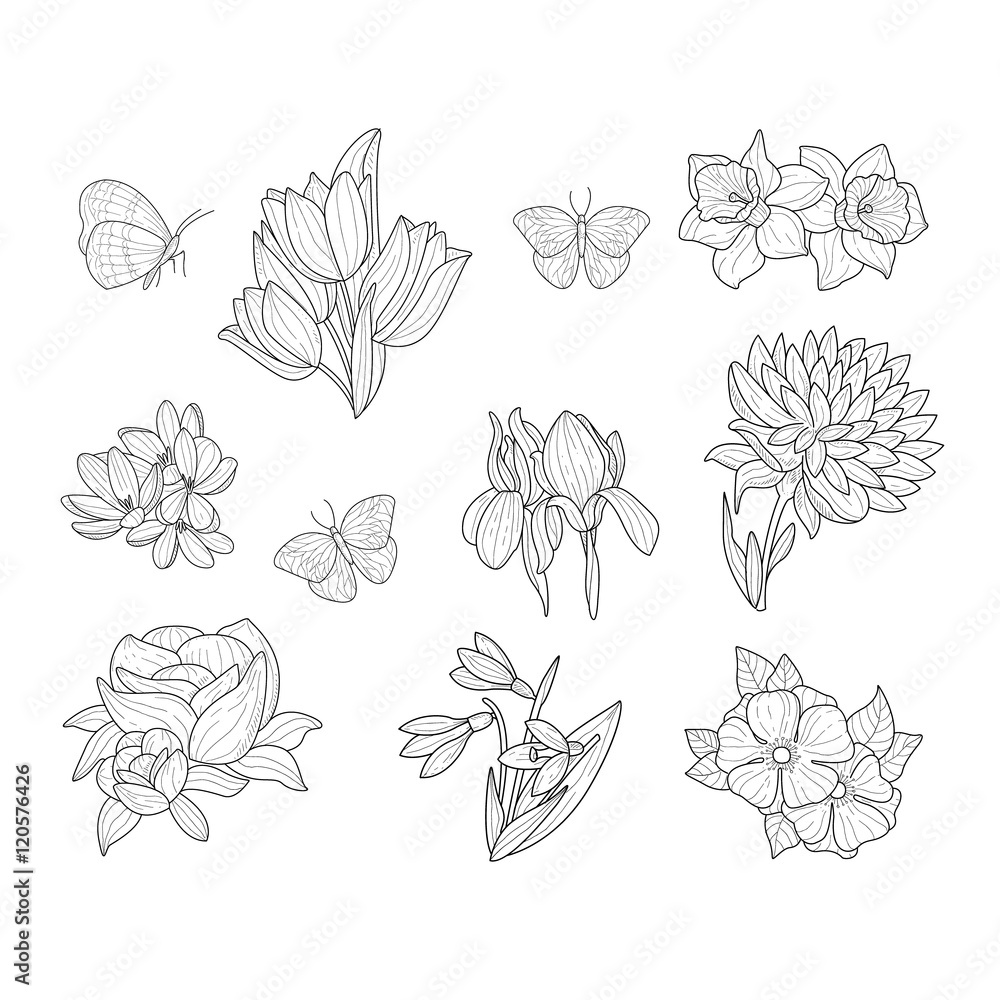 Spring Flowers And Butterflies Isolated Hand Drawn Realistic Sketches