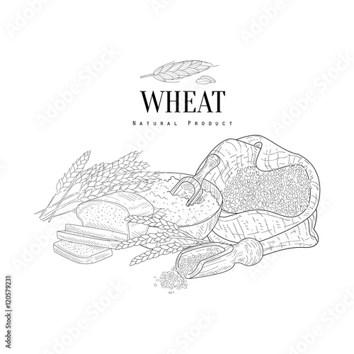 Wheat Production Still Life Hand Drawn Realistic Sketch
