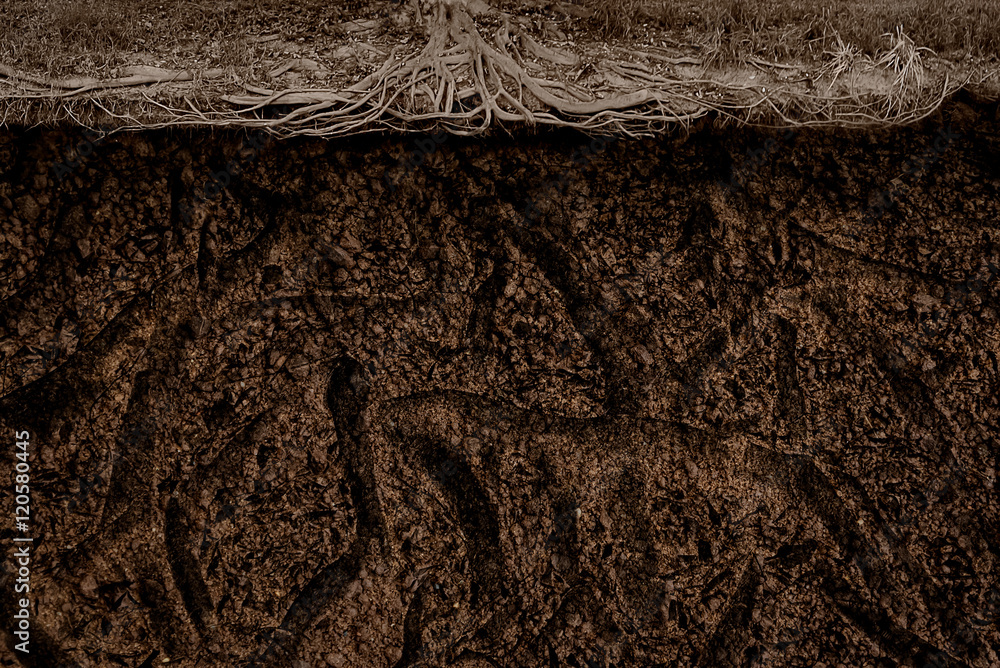 Underground brown soil Texture Background Stock Photo | Adobe Stock