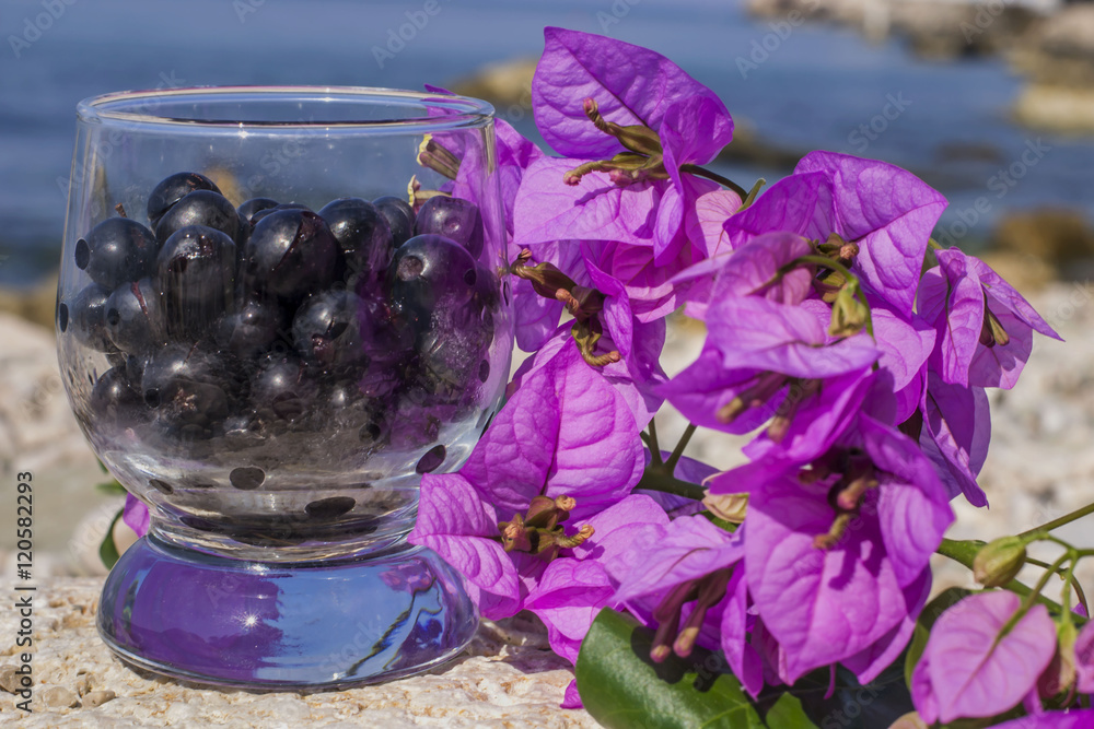 fresh dark fruits and Bougainvillea fresh dark fruits and Bougainvillea