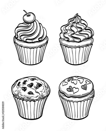  muffins and cupcakes