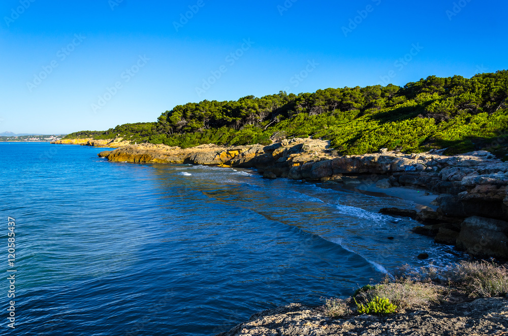 Rocky mediterranean coast covered with trees near tarragona, Spain
