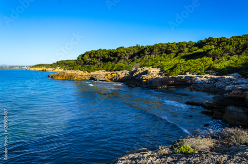 Rocky mediterranean coast covered with trees near tarragona, Spain © Sergii Zinko