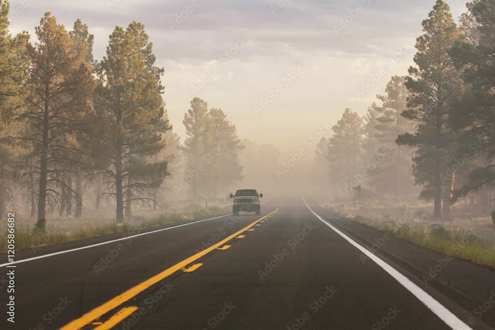Fototapeta premium Foggy road