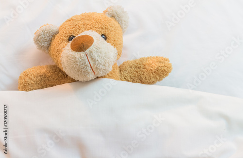 Teddy Bear on the bed.
