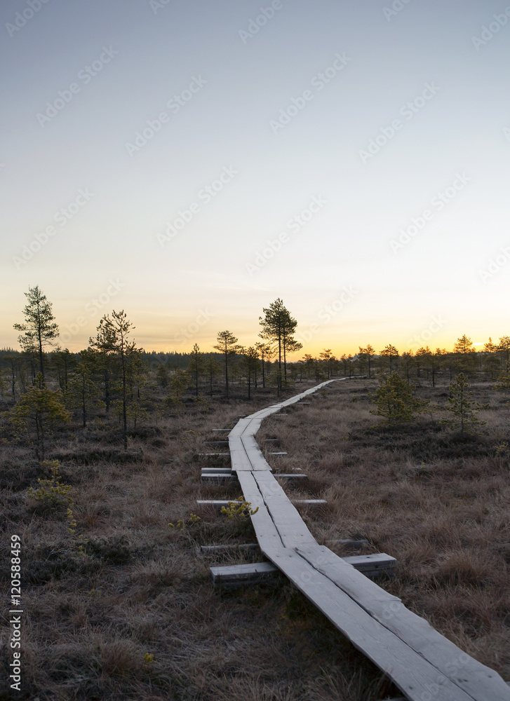 A wooden path on a swamp during sunrise.