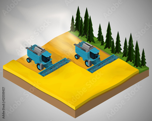 Combine harvesters collect grain in the field. Equipment for agriculture.