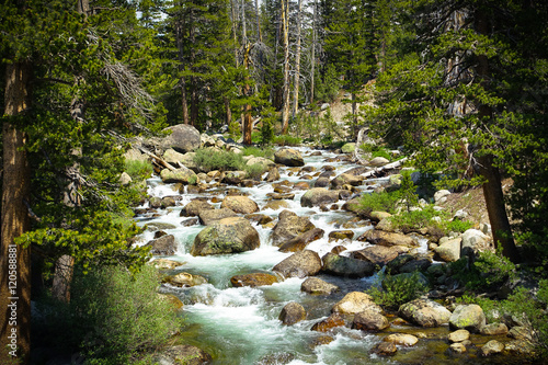 River Rapids Flowing Over Rocks in forest of Yosemite National Park, California photo