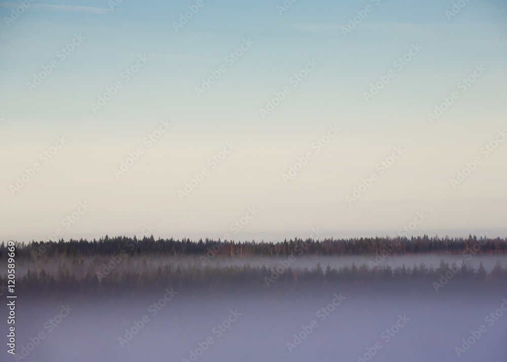 Amazing view in the morning. Foggy sunrise fills the forests below. Amazing view in the morning. Foggy sunrise fills the forests below.