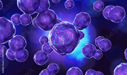 Bacteria virus or germs microorganism cells under microscope. Hi