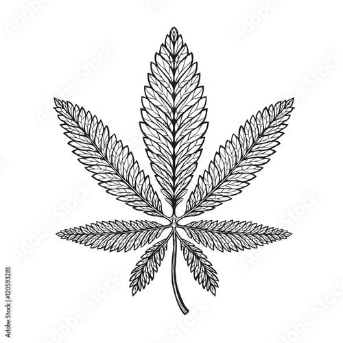 Marijuana ethnic graphic style. Cannabis, marihuana or hemp symbol