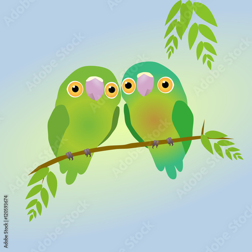 two cute parrots