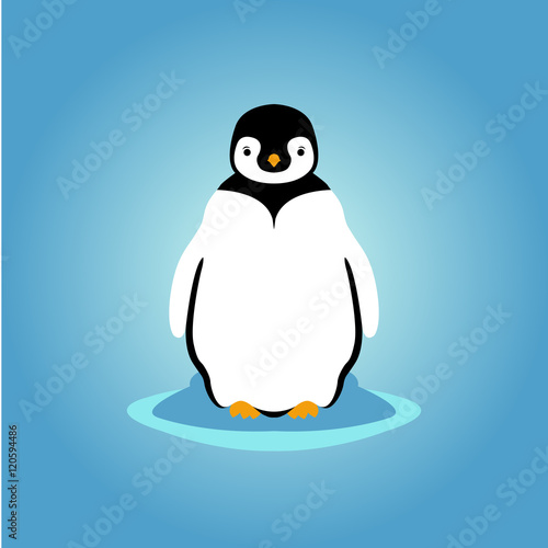 Fotografie young penguin vector illustration