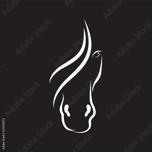 Vector image of horse face design on black background.