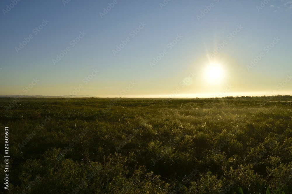 Sunrise over a pond on a foggy morning in Florida.