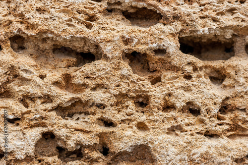 Background. The texture of limestone and lime close up. Formed by sedimentary rocks
