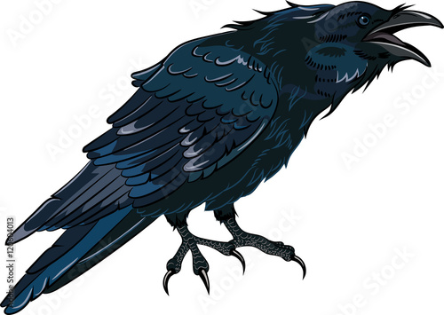 Canvas Print Black crow which caws isolated on white, vector illustration, eps-10