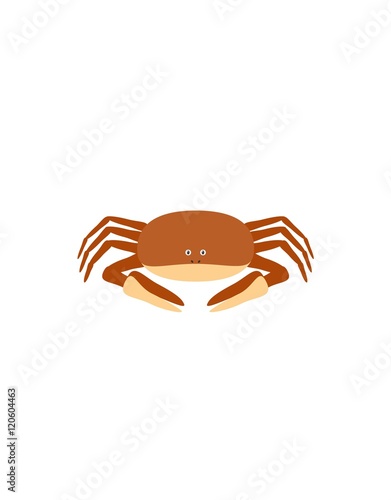 Funny crab character