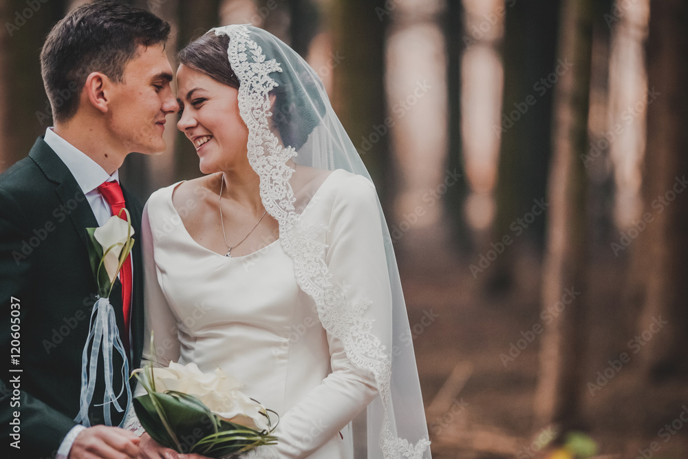 young family, the wedding, the newlyweds. Bride and groom walk around the trees in an autumn forest